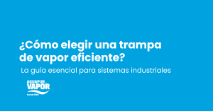 Lee más sobre el artículo Cómo elegir una trampa de vapor eficiente: guía para técnicos e ingenieros industriales